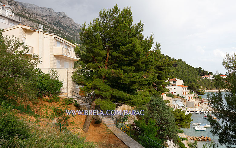 Apartments Bara�, Brela - house