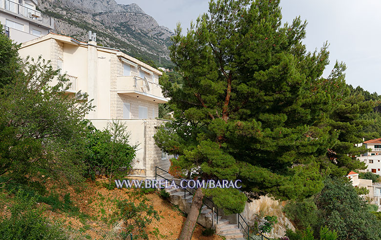 Apartments Bara�, Brela - house