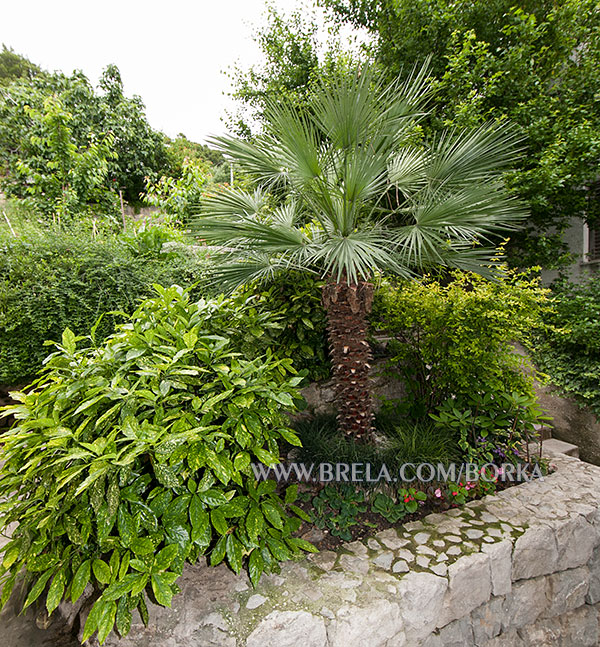 gro&szlig;en Garten rund um Haus