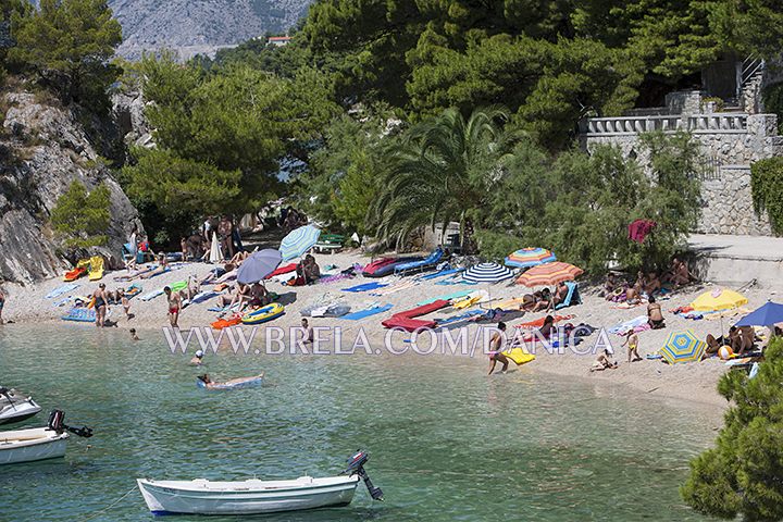Beach in Brela Podra�e in palmtree and pine treeshadows