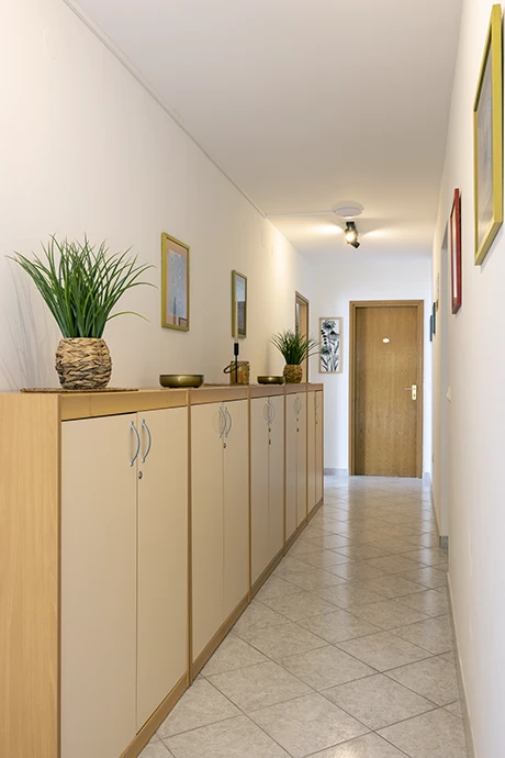 Apartments StoMarica, hall