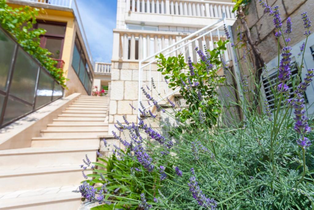 apartments Ledić, Brela - entrance in flower