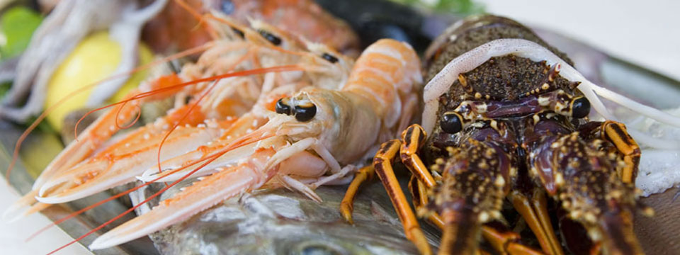 Apartments & restaurant Palma, Brela - fishes