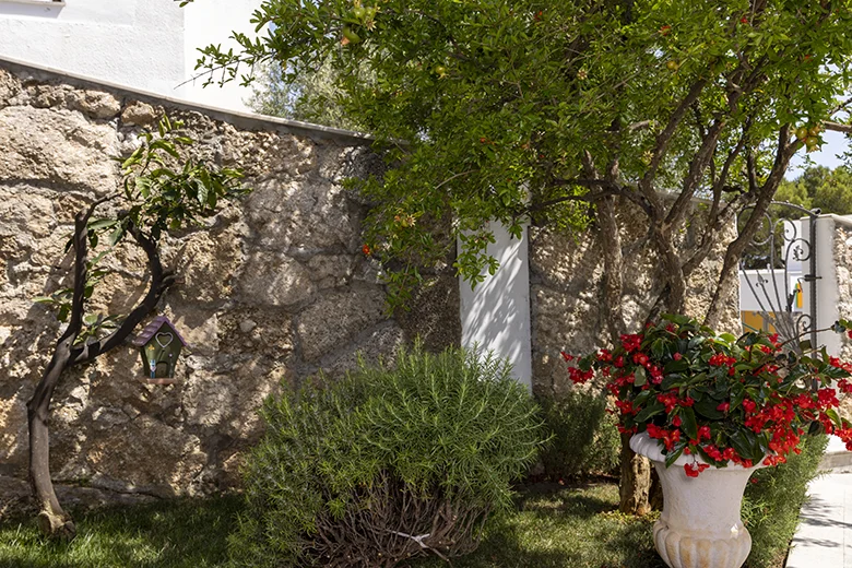 Apartments Škrabić, garden