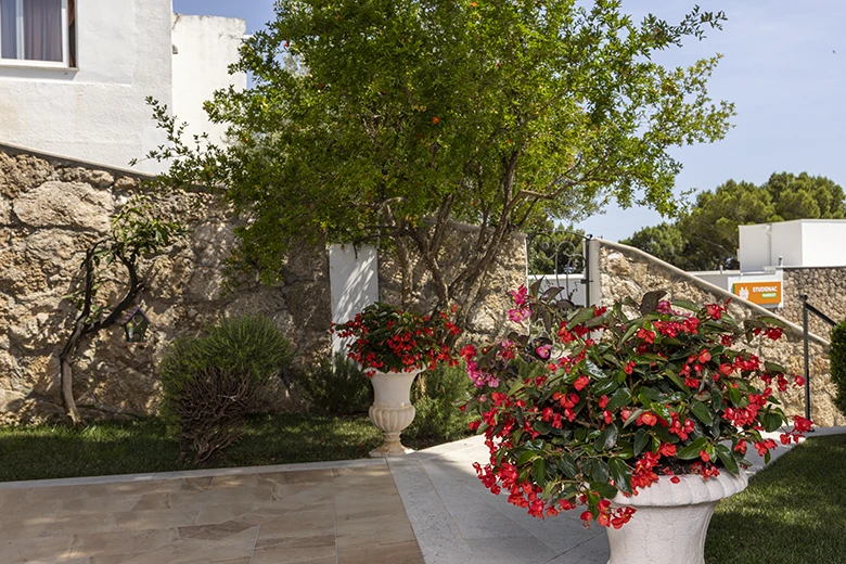 Apartments Škrabić, garden