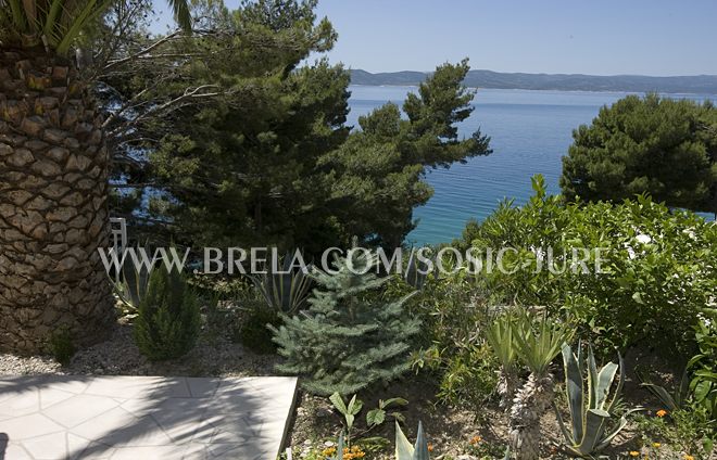 apartments Jure &Scaron;o&scaron;ić, Brela - garden, sea view