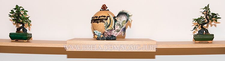 apartments &Scaron;o&scaron;ić, Brela - decoration